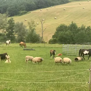 A La Ferme Avec Jacuzzi Et Piscine Chauffee Saint-Felix-de-Tournegat